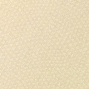 DECOR Glass 100